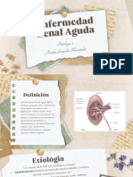 Enfermedad Renal Aguda - 20231017 - 000845 - 0000