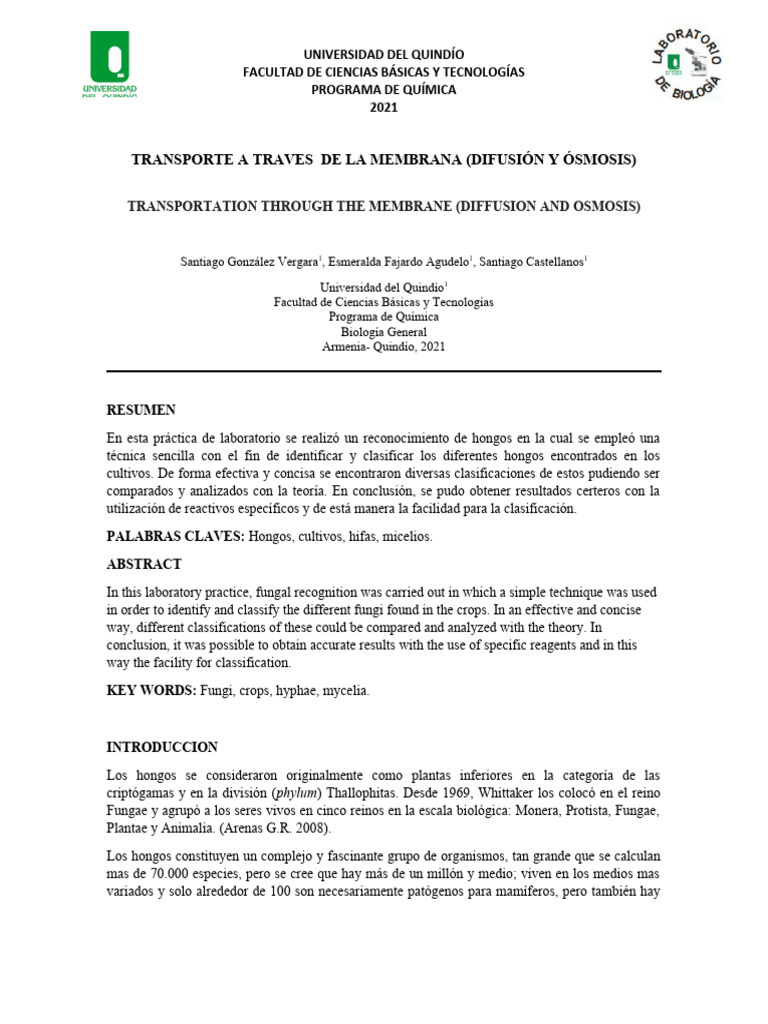 reconocimiento-de-hongos-filamentosos-pdf-hongo-molde