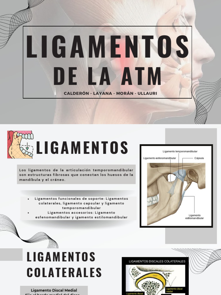 Ligamentos de la Articulación Temporomandibular | PDF | Articulación ...