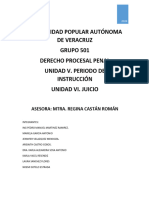 UNIDAD 5 Y 6 Derecho Procesal Penal