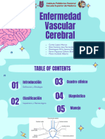 Enfermedad Vascular Cerebral