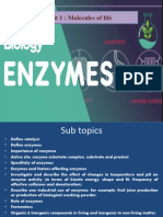 MYP 4 Enzymes