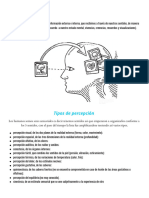 Percepción - Psicológica PDF