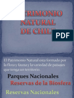 Patrimonio Natural Chileno