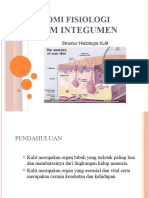 Anfis Integumen