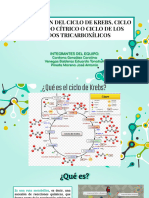 Regulación Del Ciclo de Krebs