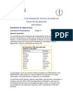 Biosintesis de Aminoacidos-José Antonio Pineda M. Grupo C