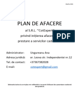 Plan de Afaceri Ungureanu Ana
