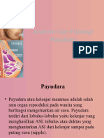 Anatomi Dan Fisiologis Payudara