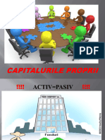 Capitalurile Proprii - Prezentare