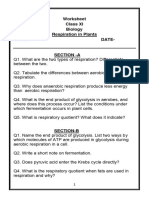 CBSE Class 11 Biology Worksheet - Respiration in Plants