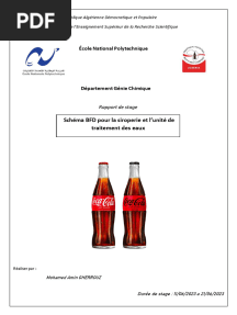 Rapport de Stage (Fruital Coca Cola)