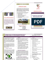 Brochure1 CUp - Environnement Et Développement Durable 2024 - 020244