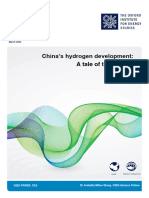 Oxford - China Hydrogen Development - 230904 - 072848