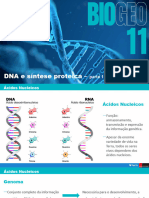 1 - DNA e Síntese Proteica (Parte1)