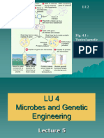 LU2 Genetic Engineering - Lecture 5