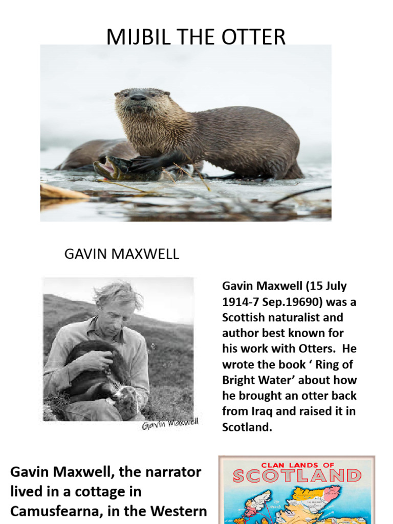 Mijbil The Otter | PDF