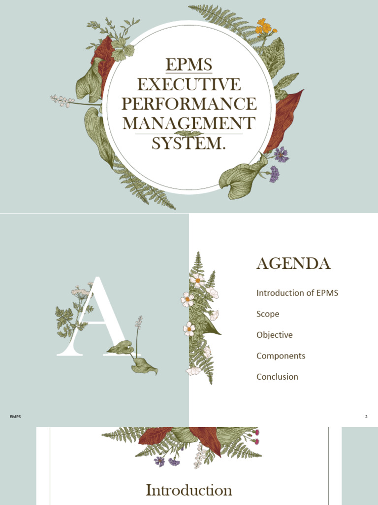 Performance Appraisal System | PDF | Performance Appraisal | Psychology