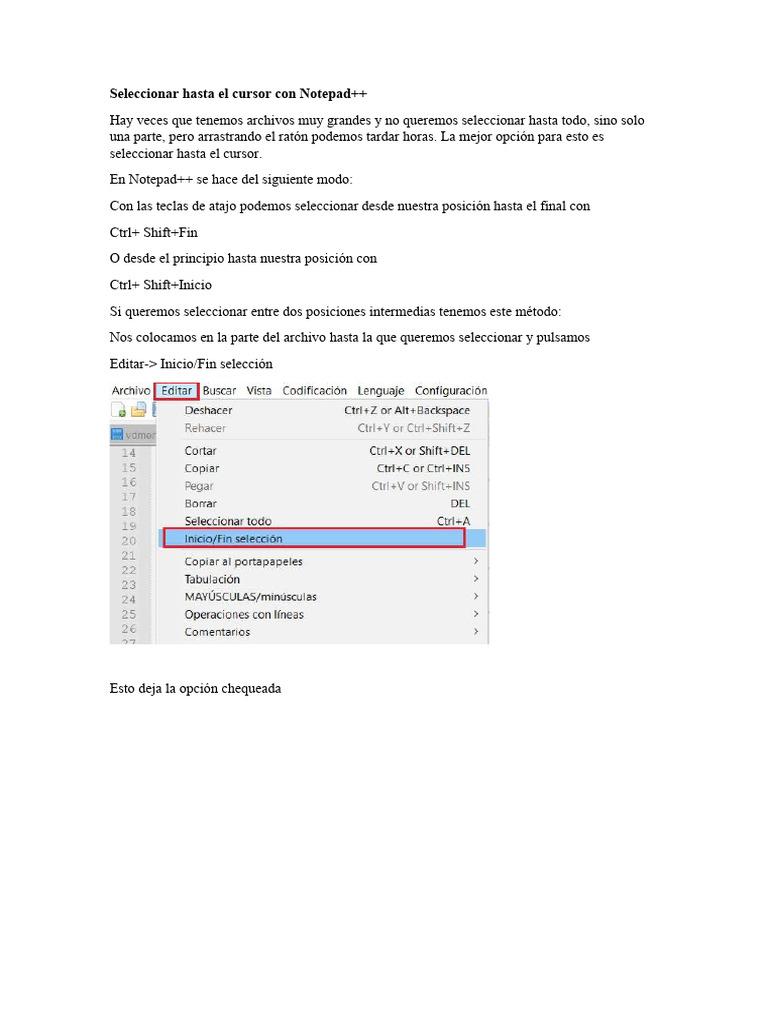 Selección Eficiente en Notepad++ | PDF