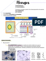 Virus Y Hongos Como Agentes Infecciosos