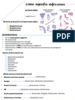 Bacterias Como Agentes Infecciosos 