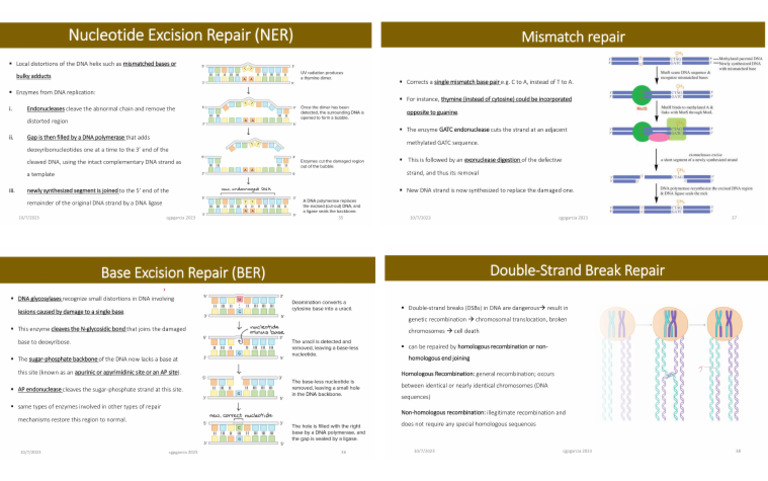 Biochem 5 | PDF