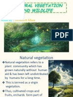 Natural Vegetation and Wildlife
