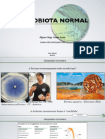 Prática 1 - Microbiota Normal