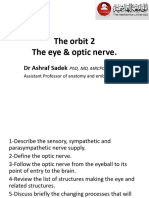PNS 4 Optic Nerve