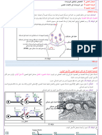 اتصال عصبي