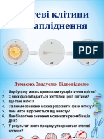 32.9 Статеві клітини та запліднення