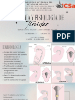 Tiroides Anato y Fisio