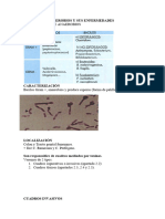 3.gérmenes Anaerobios Y Sus Enfermedades