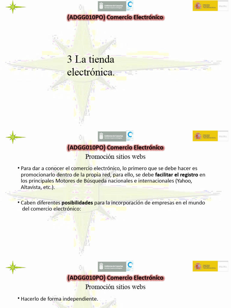 TEMA 3. La Tienda Electrã Nica | PDF | Comercio electrónico | Las ...