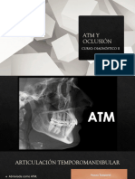 Fase Ii Atm y Oclusión