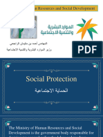 A2 - Lesson-4 Social Protection