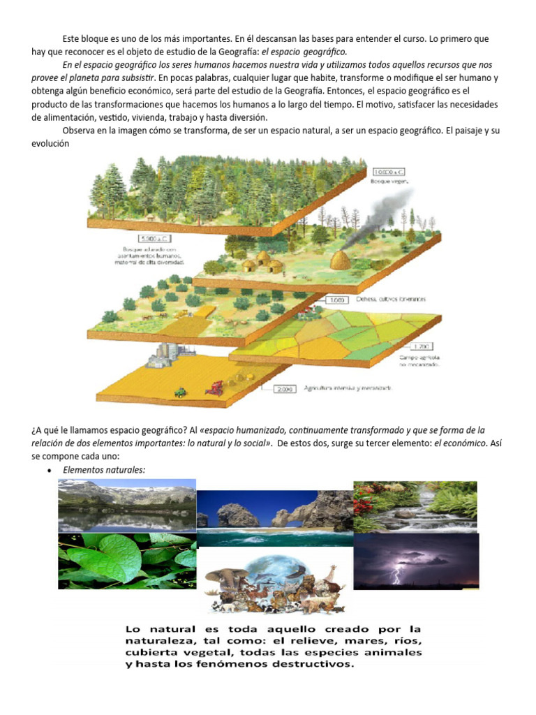 Comprendiendo el Espacio Geográfico | PDF | Geografía | Economias