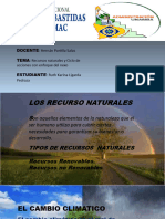 Recursos Naturales (Autoguardado)