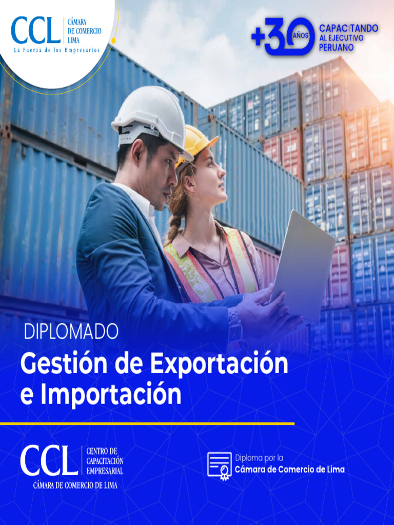 Diplomado en Gestión de Comercio Exterior | PDF | Exportaciones | Marketing