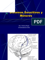 Anatomía IV - Sistemas Sensitivos y Motores