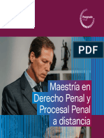 Maestría en Derecho Penal y Procesal Penal