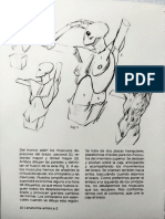 Anatomía Artística 4