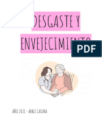 Desgaste y Envejecimiento-1