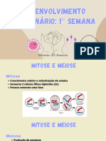 1° Semana Do Desenvolvimento Embrionário