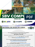 PDF - Slides - SBV Completo - 2024