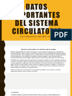 Datos Importantes Del Sistema Circulatorio