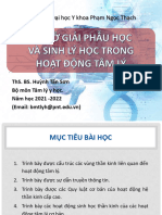 Cơ Sở Giải Phẫu Và Sinh Lý Học Của Hoạt Động Tâm Lý 2021