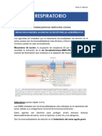 Sistema Respiratorio