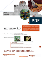 2022.2 CB Embrio - Fecundao