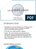 N Transformation Denitrfication-T6